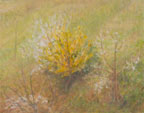 Painting by Martha Stone, "Field in Spring"