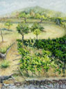 Painting by Martha Stone, "Seasons at Lamole, Summer"